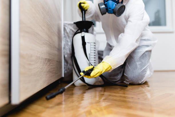 Best Affordable Pest Control Services  in Buffalo, OK