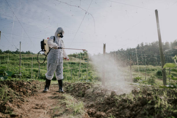 Best Best Pest Control Companies  in Buffalo, OK