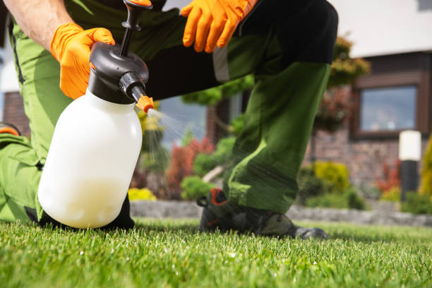 Best Termite Control Services  in Buffalo, OK