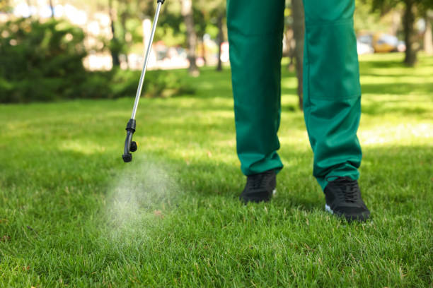 Best Exterminator Services  in Buffalo, OK