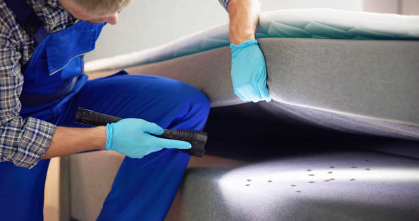 Best Emergency Pest Control  in Buffalo, OK